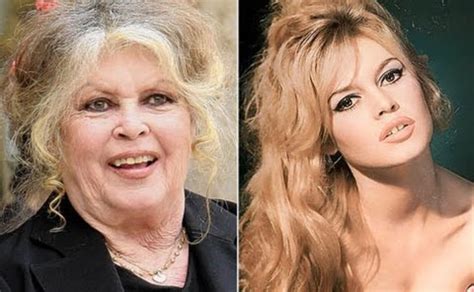 Brigitte Bardot Llama Ridídulas A Denuncias Sobre Acoso Sexual