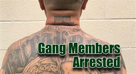 agents apprehend 6 gang members 3 sex offenders texas border business
