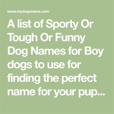 All Names My Dogs Name Dog Names Boy Dog Names Funny Dog Names