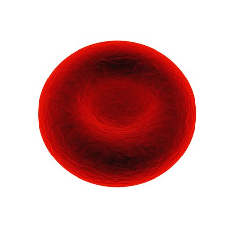 Transparent Red Blood Cells Png Red Blood Cell Membrane Png Download