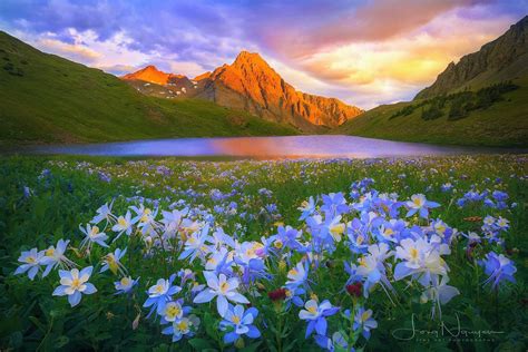 Springtime In The Moutains By Long Nguyen