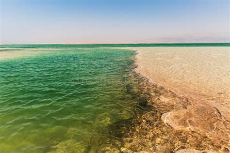 Beautiful Coast Of The Dead Sea Stock Photo Image Of Place Desert