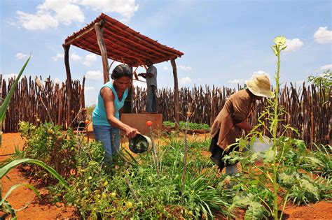 Resultado de imagem para agricultura familiar