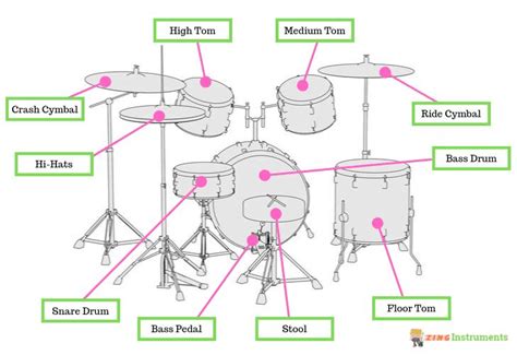Drums Anatomy - Parts of a Drum Set Explained | Drum set, Drum set
