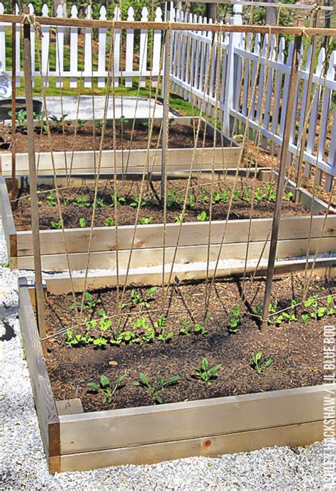 Diy Pea Trellis Ideas A Trellis For Growing Peas Ashley Hackshaw Lil