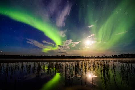 Northern Lights Over A Lake Photograph By Mikko Karjalainen
