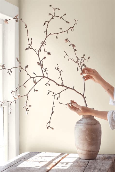 Benjamin Moore Colour Of The Year Claire Jefford Choosing Paint Colours Neutral Paint