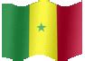 Free djibouti flag animation for your. Animated Senegal flag | Country flag of | abFlags.com gif ...