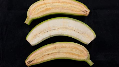 Bananas Altered To Produce More Beta Carotene At Top And Bottom Have