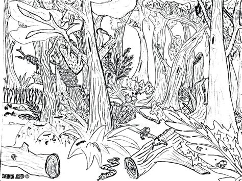 Enchanted Forest Coloring Pages At Free
