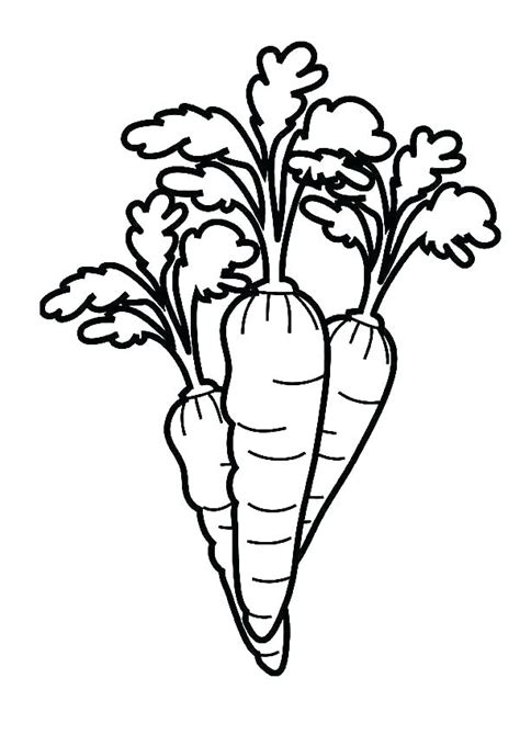 Carrot Coloring Page At Getdrawings Free Download