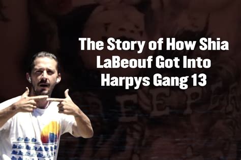 Shia Labeouf From Harpys Gang To Hollywood A Lister Nela Tv