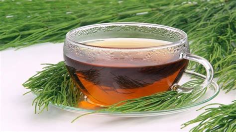 Benefícios E Propriedades Do Chá De Cavalinha Tudo Ela