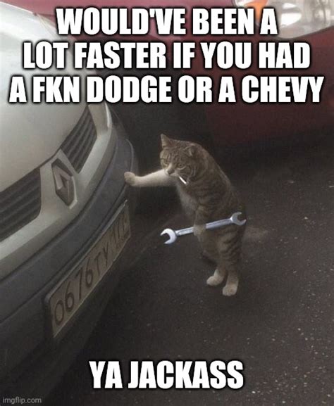 Cat Mechanic Imgflip