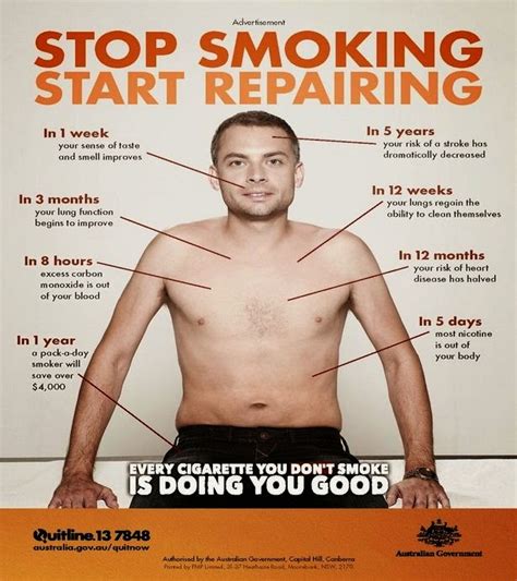 8 Hours After Quitting Smoking  What Happens To Your Body Wise Diaries
