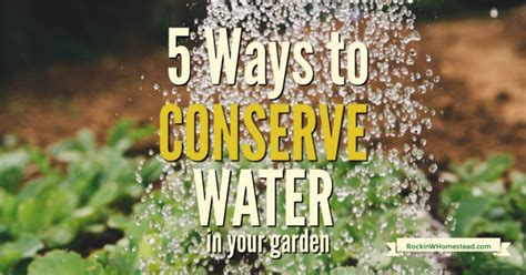 5 Tips To Conserve Water In Your Garden Rockin W Homestead