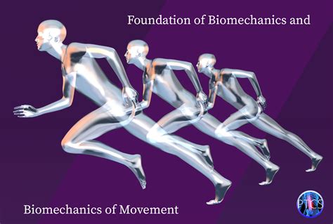 Foundation Of Biomechanics And Biomechanics Of Movement Pinnacle