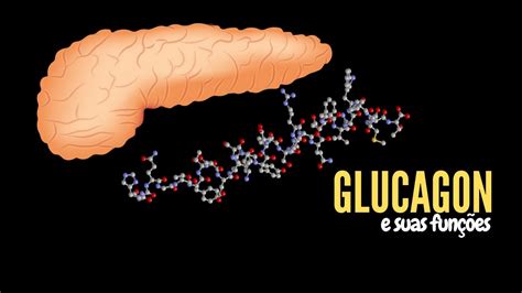 Para Que Serve O Glucagon