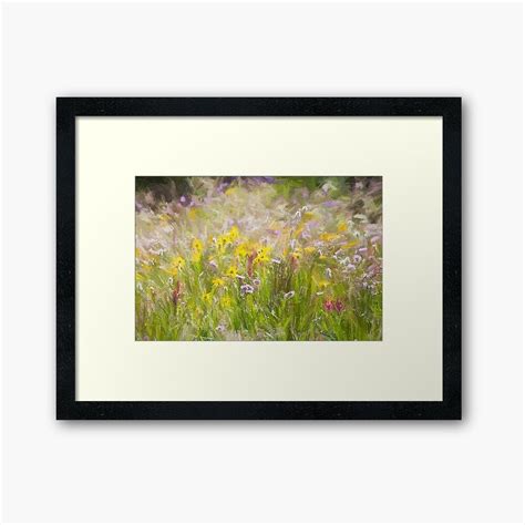 Mountain Wildflowers Framed Art Print By Bubred24 Framed Art Prints