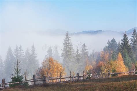 Morning Fog Creeps With Scraps Over Autumn Mountain Forest Covered In
