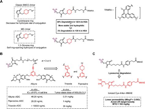 Structures Of Non Cleavable Linkers A The Structure Of Md