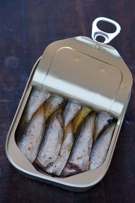Cats don't process omega 3s from plant based sources and as a result they cod liver oil, which is considered an excellent supplement for humans, should not be given to cats. Delicious Canned Sardine Recipes | HubPages