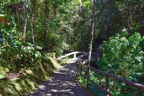 Botanical garden is situated nearby to polar park. Top 10 Things to Do in Kota Kinabalu, Malaysia