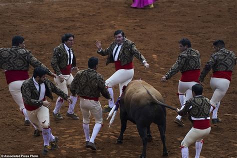 Mexico City Legislature May Ban Bullfighting Daily Mail Online