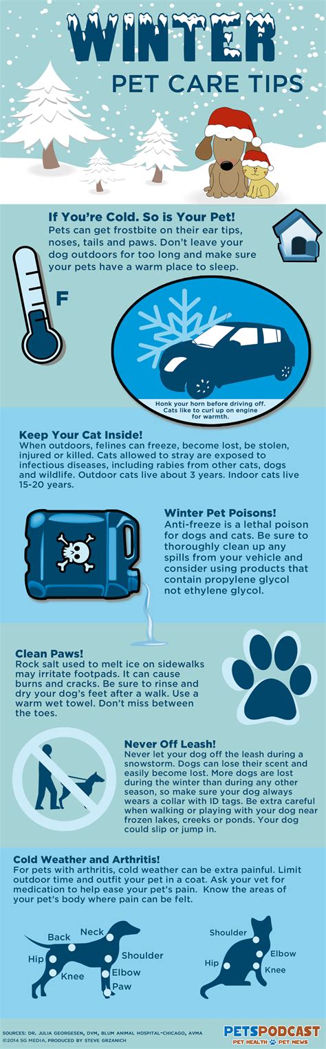 Winter Pet Care Tips Pet Care Tips Pet Care Winter Safety