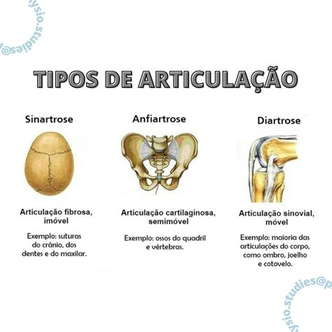 Tipos de Articulação Anatomia I