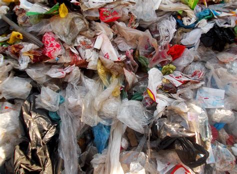 Plastic Bags In The Great Pacific Garbage Patch Earthcapades