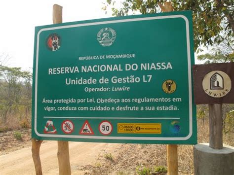 Moçambique Reserva Do Niassa Há Um Ano Sem Mortes De Elefantes