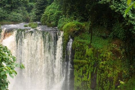 La Foresta Equatoriale Gabon