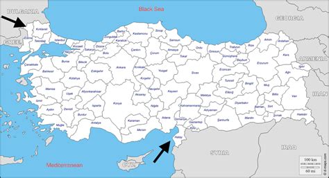 Explaining The Dog That Does Not Bark Why Do Some Localities In Turkey