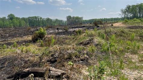 Northern Michigan Wildfire Fully Contained Dnr Says
