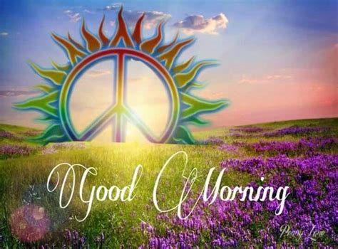 ☮ American Hippie ☮ Happy Hippie Day Morning 1000 In 2020