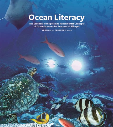 The Essential Principles And Fundamental Concepts Of Ocean Sciences