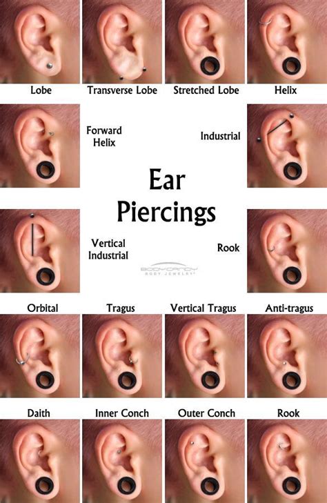 Ear Piercing Guide Chart