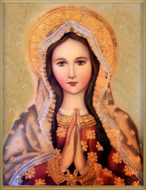 Imágenes De Galilea Virgen María Mother Of Christ Jesus Mother