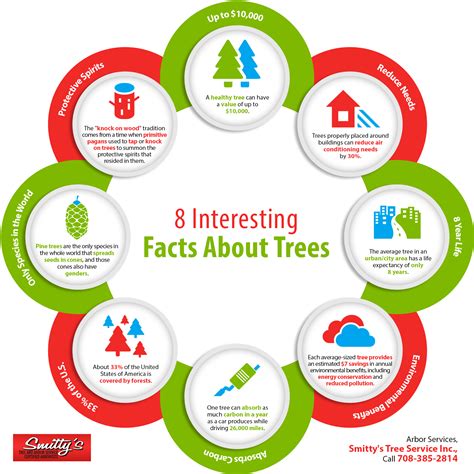 8 Interesting Facts About Trees Shared Info Graphics