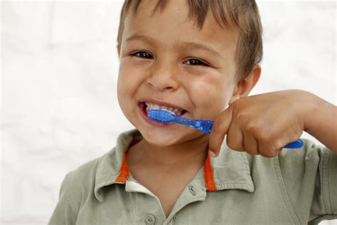 How To Brush Your Teeth Sale Offers Save 61 Jlcatjgobmx