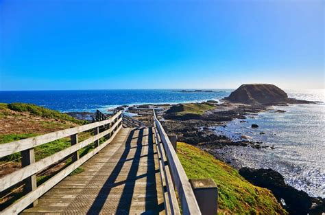 The phillip island weather forecast is typically mild and is usually tempered by the frequent ocean breezes. Phillip Island Tour - Penguin Parade Day Trip From Melbourne