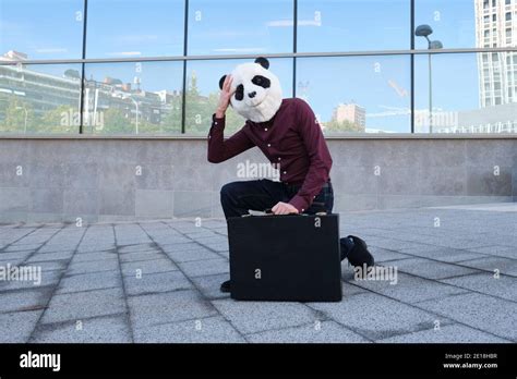 Male Robber Wearing A Panda Head Mask Stealing A Briefcase Tired Of