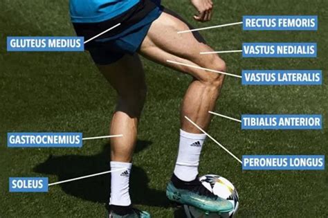 Quad Goals Cristiano Ronaldo Leaves Fans Stunned With Huge Thigh