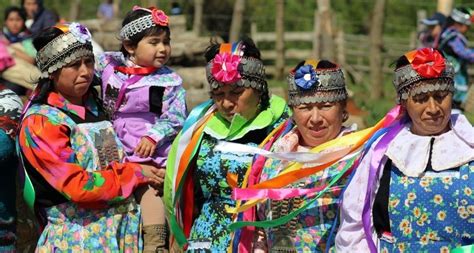 Los Paisajes Del Despojo Mapuche Notas