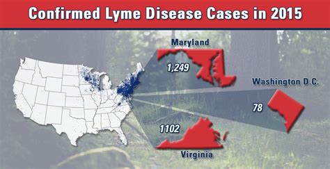 Lyme Disease Plague Anticipated For Washington Dc This Summer Lyme