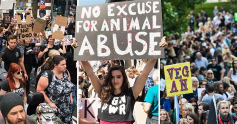 Thousands Of Vegan Activists March Through London To End Animal Cruelty