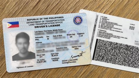 A Full Guide On What To Do If Drivers License Is Lost