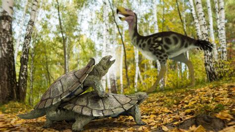 Laurasichersis Relicta Primitive Turtle Species Survived The Dinosaur
