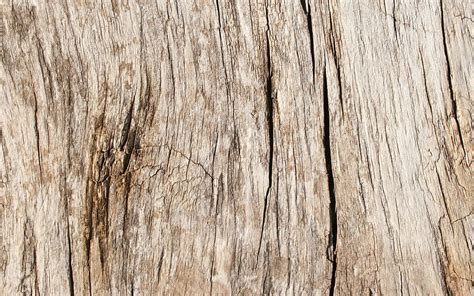 1920x1080px 1080p Free Download Brown Wooden Texture Wooden